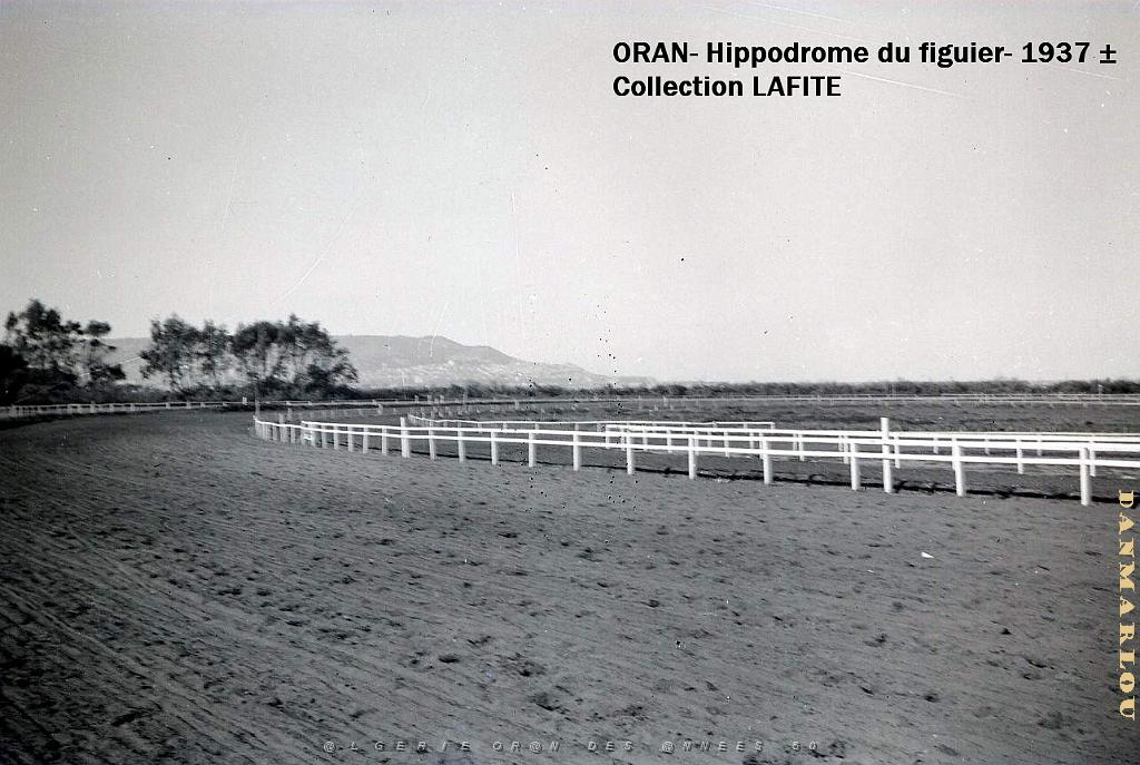 ORAN 1937 HYPPODROME DU FIGIER    (25).jpg